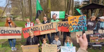 Mieszkańcy Zagórza w gm. Czerwieńsk protestują przeciwko wycinaniu olchowych lasów (fot. Piotr Bakselerowicz)