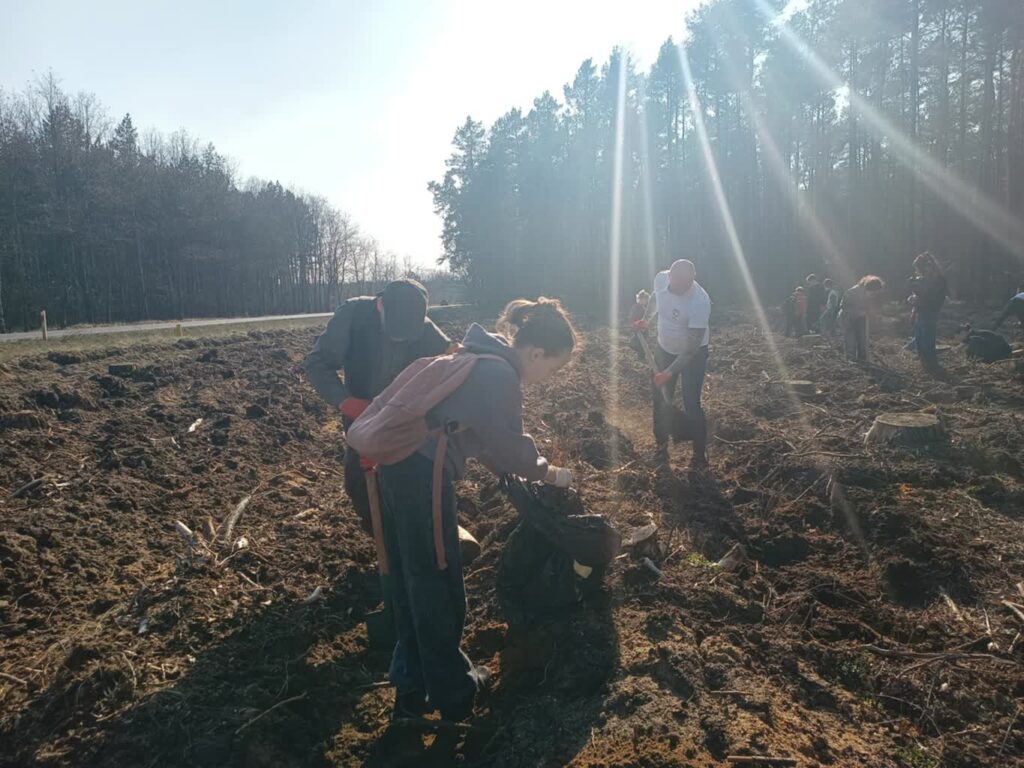 Żagań w akcji „Lasy na nowe 100-lecie” fot. K.Gonera