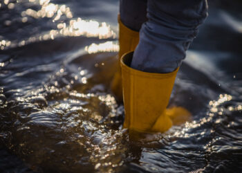 Zdjęcie ilustracyjne. Fot. ninjason1/Freepik