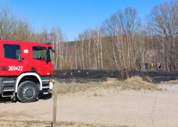 Mimo zagrożenia trawy wciąż są wypalane Radio Zachód - Lubuskie