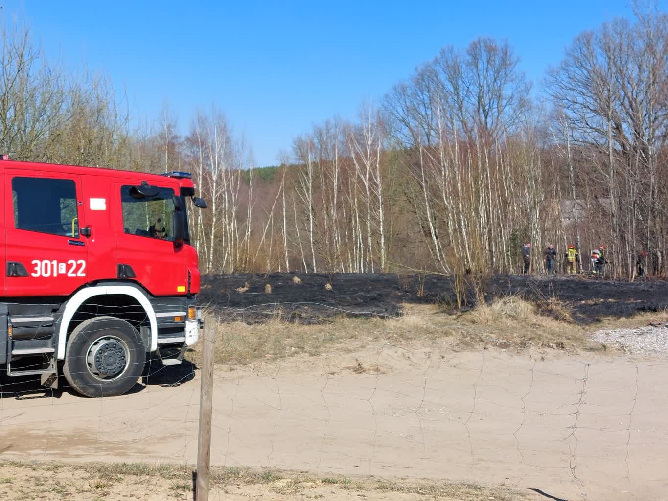Mimo zagrożenia trawy wciąż są wypalane Radio Zachód - Lubuskie