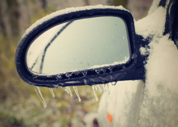 Fot. montypeter/Freepik