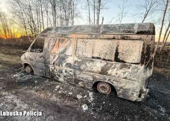 Ukradli kurierowi busa i spalili go w lesie. Trzech mężczyzn zatrzymanych Radio Zachód - Lubuskie