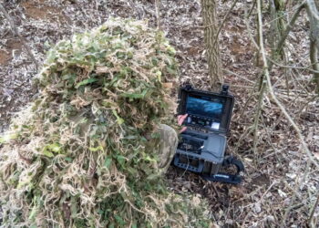 fot: PAP/Mykola Kalyeniak