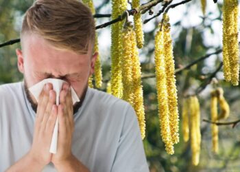 Fot. Kolaż zdjęć Freepik