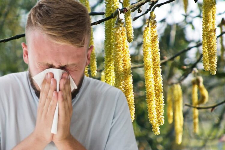 Co pyli w marcu? Alergolog odpowiada 9 Fot. Kolaż zdjęć Freepik