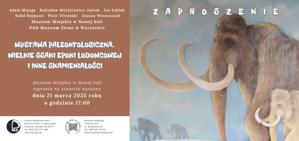 Muzeum Miejskie w Nowej Soli zaprasza na kolejny wernisaż wystawy 1 Muzeum Miejskie w Nowej Soli zaprasza na kolejny wernisaż wystawy Radio Zachód - Lubuskie