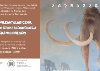 Muzeum Miejskie w Nowej Soli zaprasza na kolejny wernisaż wystawy Radio Zachód - Lubuskie