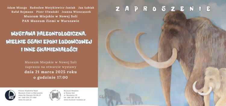 Muzeum Miejskie w Nowej Soli zaprasza na kolejny wernisaż wystawy Radio Zachód - Lubuskie