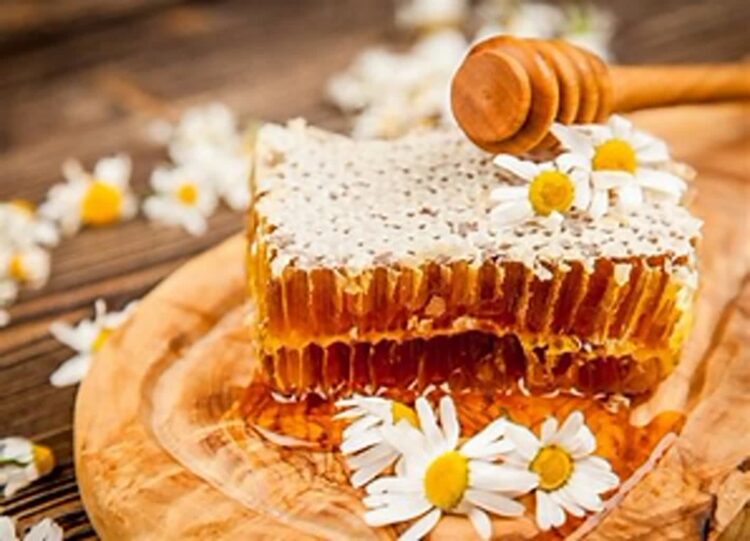 Co trzeba wiedzieć o miodzie Radio Zachód - Lubuskie