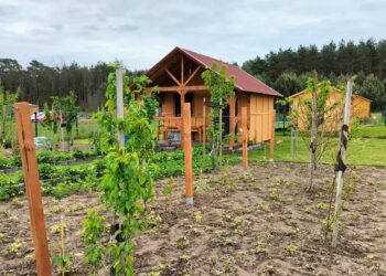 Srebrna Polana – nowe działki do dzierżawy Radio Zachód - Lubuskie