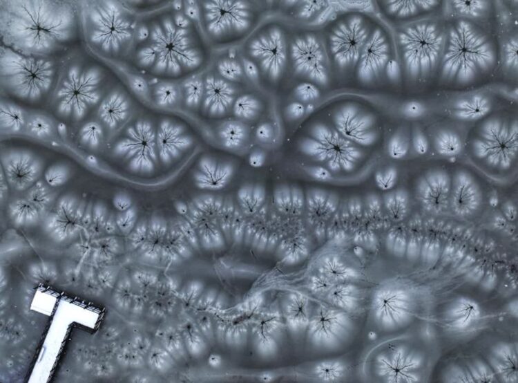 fot. Jakub Kazimir - Nadleśnictwo Wymiarki