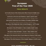 Fot. European Tree of the Year/FB