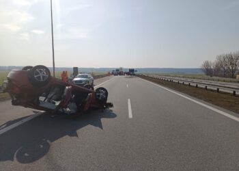 Fot. Lubuska Policja