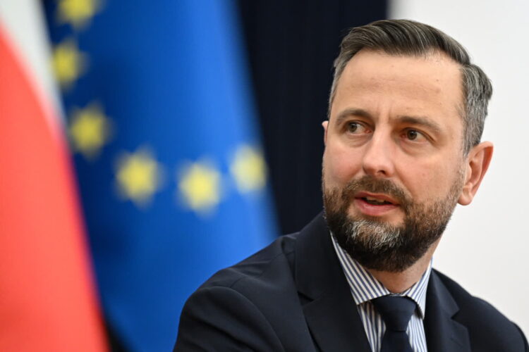 Władysław Kosiniak-Kamysz, szef MON (PAP/Darek Delmanowicz)