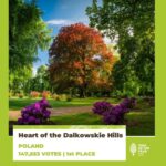 Fot. European Tree of the Year/FB