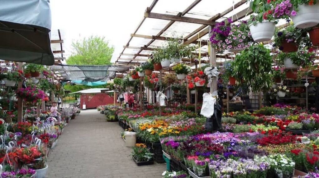 Zmiana stawek na targowiskach w Gubinie 3 fot. UM Gubin