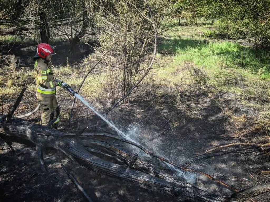 Strażak OSP podczas ćwiczeń - zdj. ilustracyjne (Komenda PSP Gorzów)