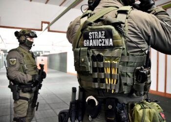 Zdjęcie ilustracyjne. Fot. Straż Graniczna/FB
