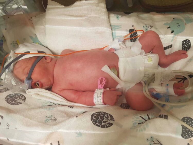 foto: szpital uniwersytecki w ZG