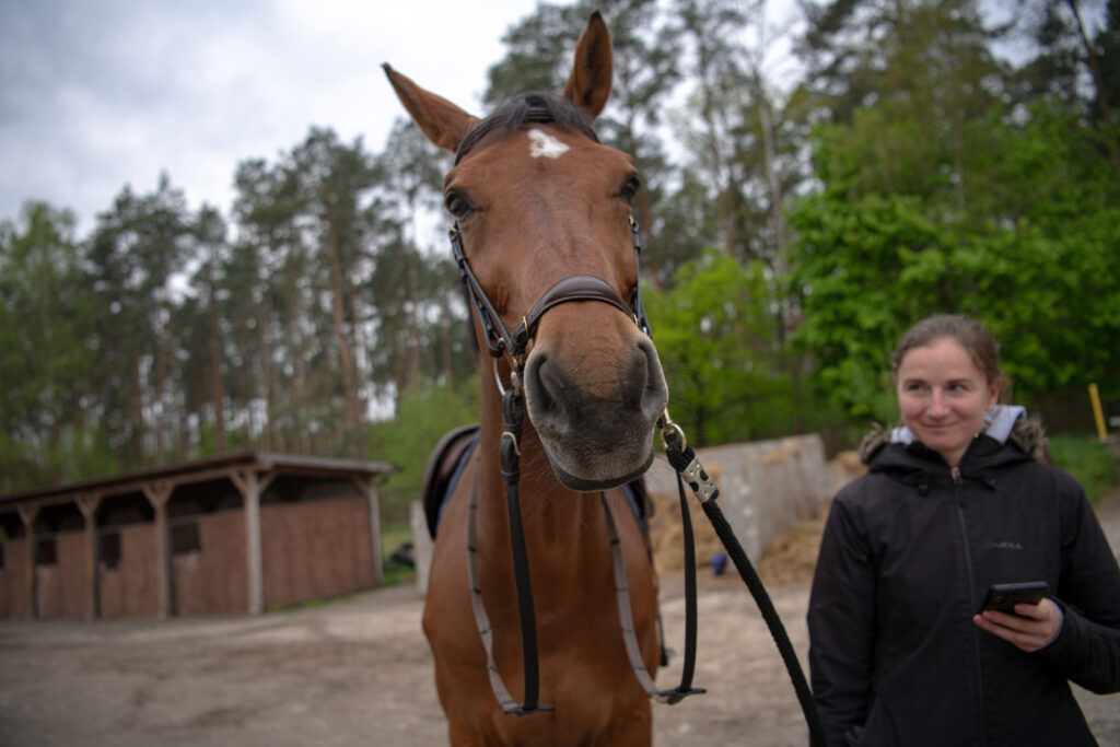 Gwiazdy jeździectwa w Drzonkowie! [GALERIA ZDJĘĆ] Radio Zachód - Lubuskie