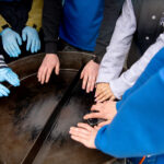 Na zielonogórskim deptaku trwa akcja "Idą święta!" [GALERIA ZDJĘĆ] Radio Zachód - Lubuskie