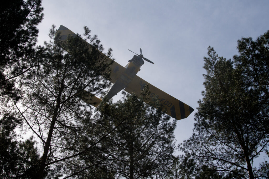 Międzynarodowe ćwiczenia strażackie w Rzepinie [GALERIA ZDJĘĆ] Radio Zachód - Lubuskie
