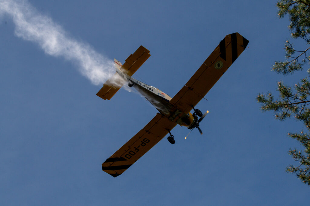 Międzynarodowe ćwiczenia strażackie w Rzepinie [GALERIA ZDJĘĆ] Radio Zachód - Lubuskie