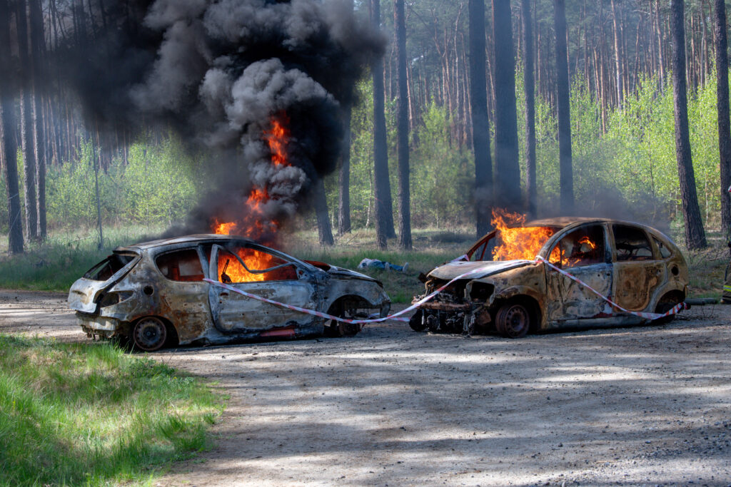 Międzynarodowe ćwiczenia strażackie w Rzepinie [GALERIA ZDJĘĆ] Radio Zachód - Lubuskie