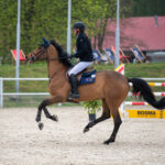 Gwiazdy jeździectwa w Drzonkowie! [GALERIA ZDJĘĆ] Radio Zachód - Lubuskie