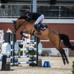 Gwiazdy jeździectwa w Drzonkowie! [GALERIA ZDJĘĆ] Radio Zachód - Lubuskie