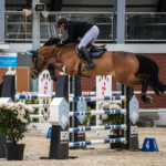 Gwiazdy jeździectwa w Drzonkowie! [GALERIA ZDJĘĆ] Radio Zachód - Lubuskie