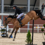 Gwiazdy jeździectwa w Drzonkowie! [GALERIA ZDJĘĆ] Radio Zachód - Lubuskie