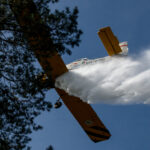 Międzynarodowe ćwiczenia strażackie w Rzepinie [GALERIA ZDJĘĆ] Radio Zachód - Lubuskie