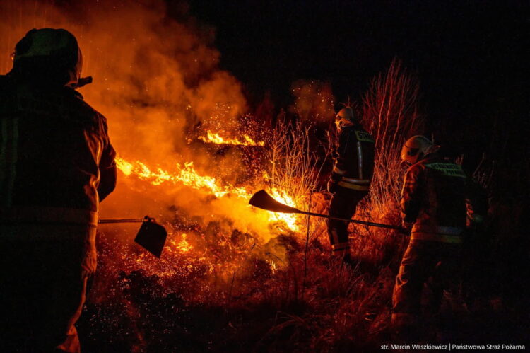 Pożar w Biebrzańskim Parku Narodowym (PAP/PSP/str. Marcin Waszkiewicz)