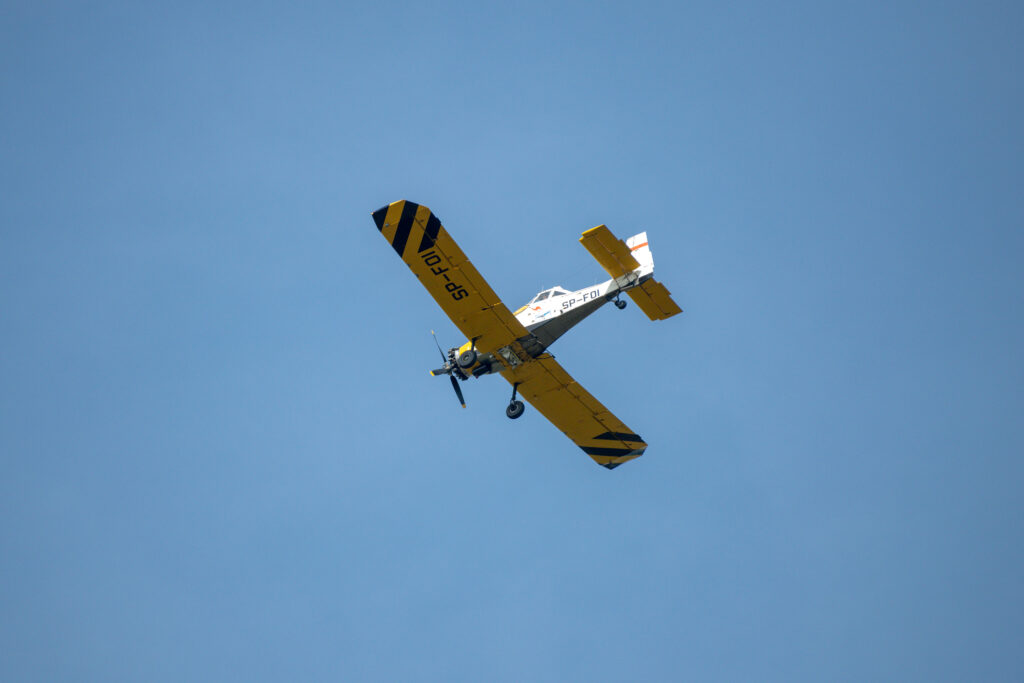 Międzynarodowe ćwiczenia strażackie w Rzepinie [GALERIA ZDJĘĆ] Radio Zachód - Lubuskie