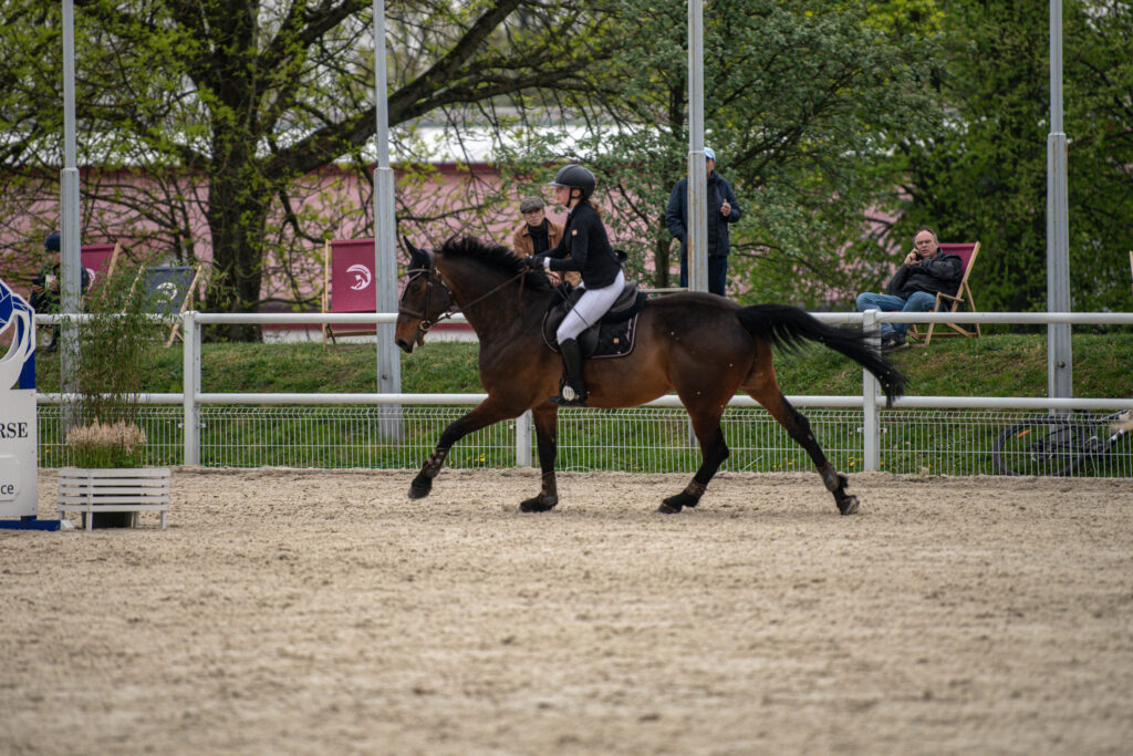 Gwiazdy jeździectwa w Drzonkowie! [GALERIA ZDJĘĆ] Radio Zachód - Lubuskie