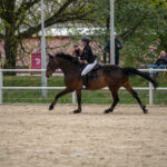 Gwiazdy jeździectwa w Drzonkowie! [GALERIA ZDJĘĆ] Radio Zachód - Lubuskie