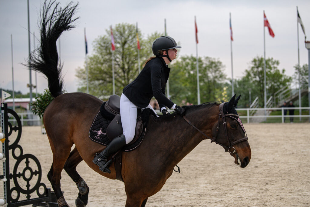 Gwiazdy jeździectwa w Drzonkowie! [GALERIA ZDJĘĆ] Radio Zachód - Lubuskie