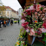 Na zielonogórskim deptaku trwa akcja "Idą święta!" [GALERIA ZDJĘĆ] Radio Zachód - Lubuskie