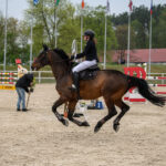 Gwiazdy jeździectwa w Drzonkowie! [GALERIA ZDJĘĆ] Radio Zachód - Lubuskie