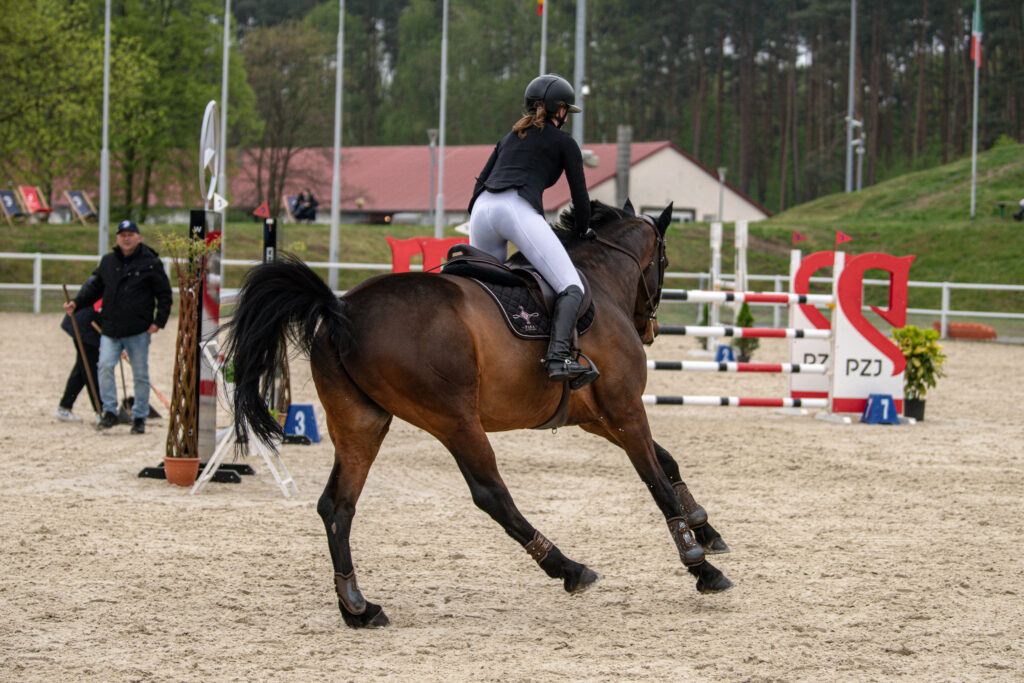 Gwiazdy jeździectwa w Drzonkowie! [GALERIA ZDJĘĆ] Radio Zachód - Lubuskie