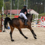 Gwiazdy jeździectwa w Drzonkowie! [GALERIA ZDJĘĆ] Radio Zachód - Lubuskie