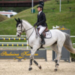 Gwiazdy jeździectwa w Drzonkowie! [GALERIA ZDJĘĆ] Radio Zachód - Lubuskie