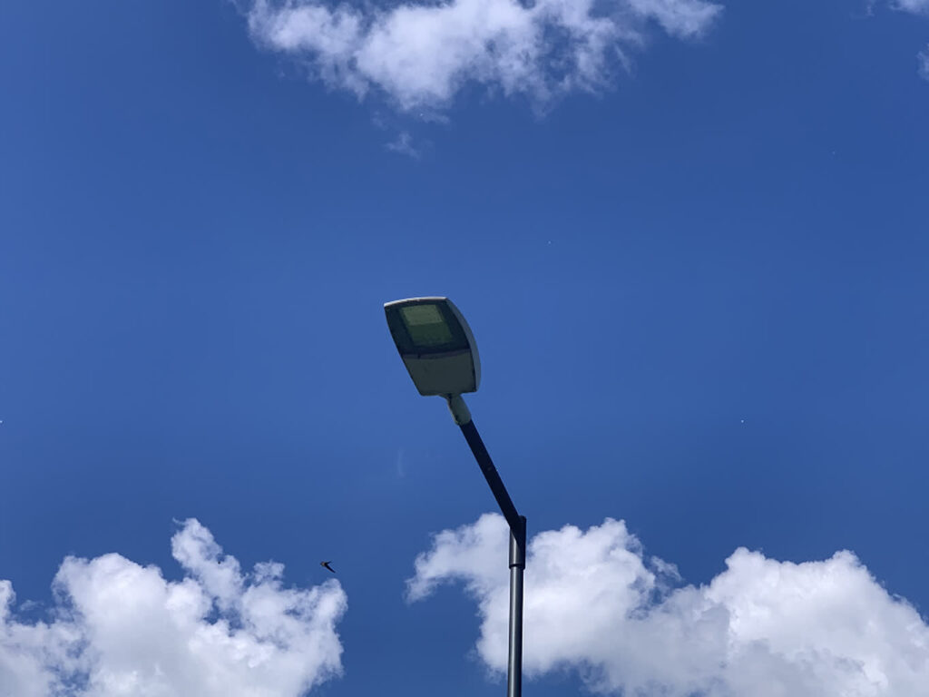 fot. UM Bieruń (fotografia ilustracyjna)