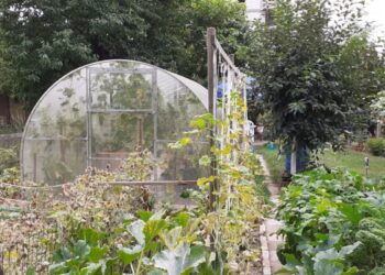 Szef działkowców przypomina o zakazie spalania odpadów Radio Zachód - Lubuskie