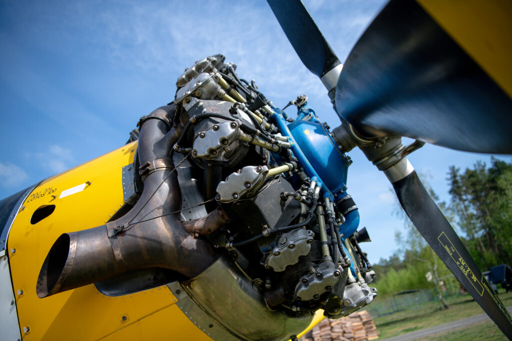 Międzynarodowe ćwiczenia strażackie w Rzepinie [GALERIA ZDJĘĆ] Radio Zachód - Lubuskie