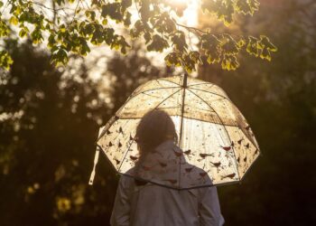 Zdjęcie ilustracyjne. Fot. Pixabay