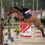 Gwiazdy jeździectwa w Drzonkowie! [GALERIA ZDJĘĆ] Radio Zachód - Lubuskie