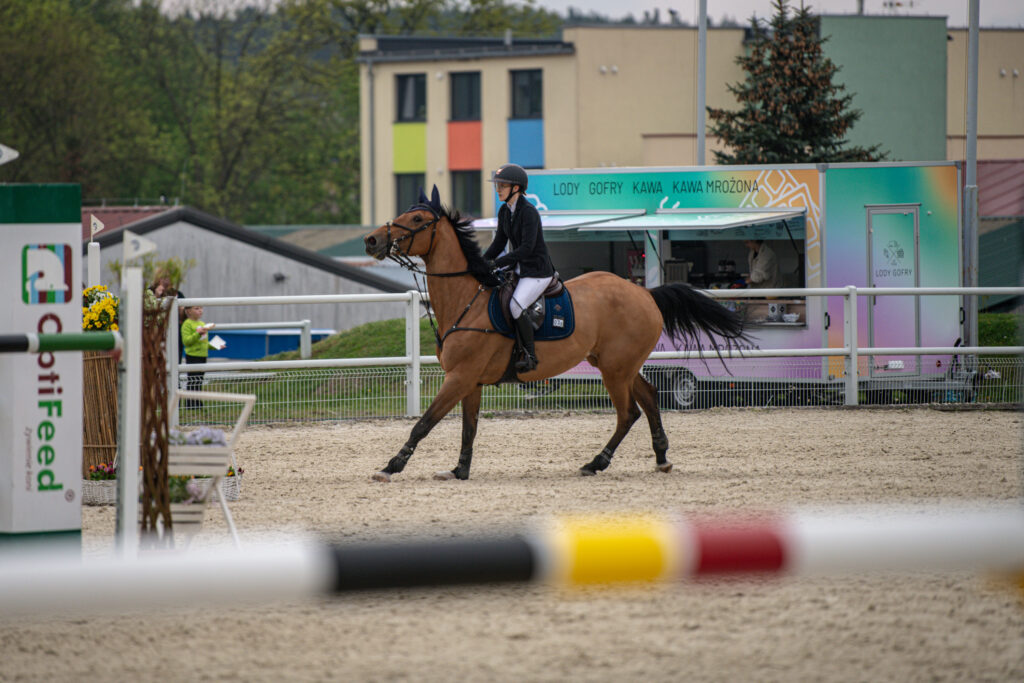 Gwiazdy jeździectwa w Drzonkowie! [GALERIA ZDJĘĆ] Radio Zachód - Lubuskie